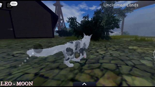 |LEO - MOON| ?Обновление или что то типо того в Warrior Cats Ultimate Edition - Roblox ? смотреть онлайн