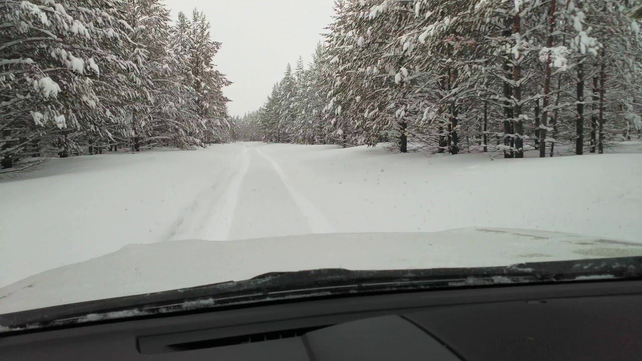 Toyota Land Cruiser 200 Winter Off Road.
