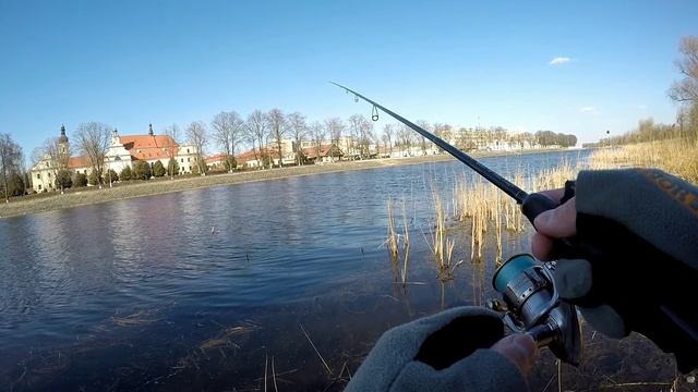 Альтернатива для Tanta от FishUP. Окунь одобрил шишку от Fish Magnet. Streetfishing па Пiнску...