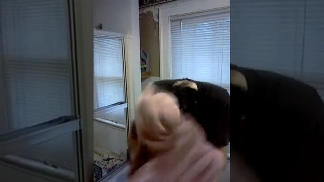 How to have Sid Vicious hair смотреть онлайн