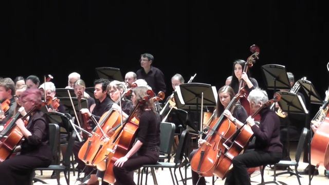 Danse Macabre, WSCO Symphony Orchestra смотреть онлайн