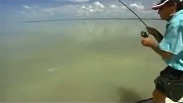 Tailing redfish can't resist a Gulp Jerk Shad смотреть онлайн