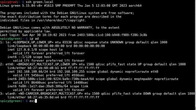 Multicast Domain Name System (mDNS) смотреть онлайн