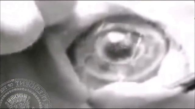 ПРИШЕЛЬЦЫ УЖЕ ДАВНО СРЕДИ НАС смотреть онлайн