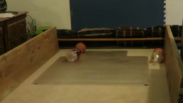 Bottle Bowling - Full Game Match