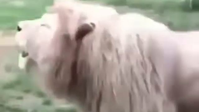 Когда у тебя выходной смотреть онлайн