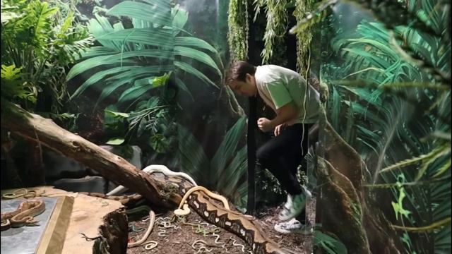 Самая Опасная Квест-Комната в Мире! РЕАКЦИЯ P смотреть онлайн