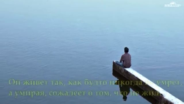 Умные слова мудреца смотреть онлайн