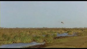 Дарин Сысоев (OST Кандагар) — Взлет