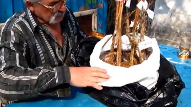 Пришла Посылка с кустарниками и ягодами смотреть онлайн