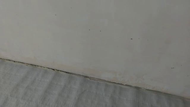 Рассказываю про подготовку пола под укладку ламината смотреть онлайн