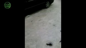 Рыбалка в Казахстане Обзор с Рыбных мест №23