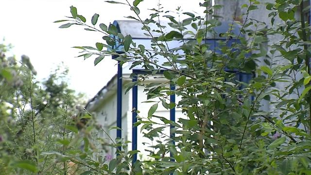 Точка на карте. Путешествие в село Черкутино