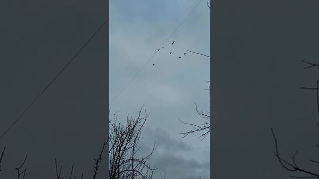 Полет Николаевских, сильный ветер смотреть онлайн