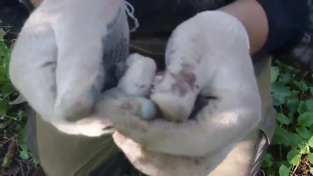 Немецкая шрапнель смотреть онлайн