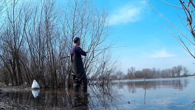 Ловля плотвы весной на стальку смотреть онлайн
