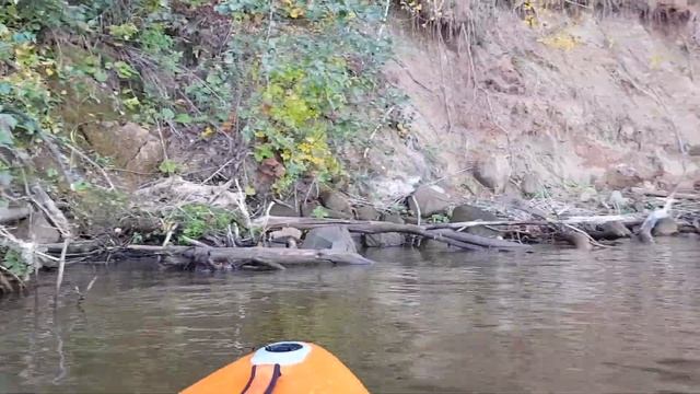 упавшие деревья смотреть онлайн