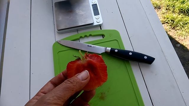 Земляника "Максим" часть2 вкус. смотреть онлайн