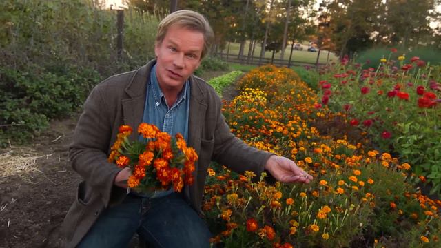 Marigolds for the Early Fall | At Home With P. Allen Smith смотреть онлайн