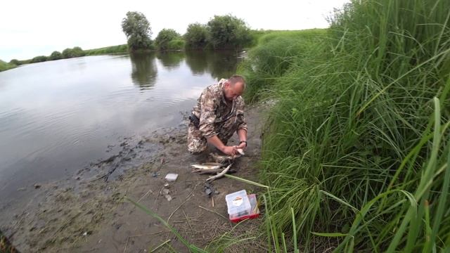 Щука в озёрах Волго Ахтубинской поймы смотреть онлайн