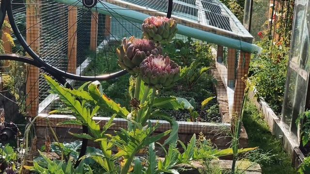 Kleinen Garten Немецкие дачи смотреть онлайн