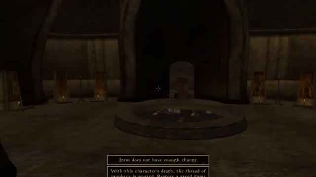 Day 35 - Killing Every NPC Until Elder Scrolls 6 is Released смотреть онлайн