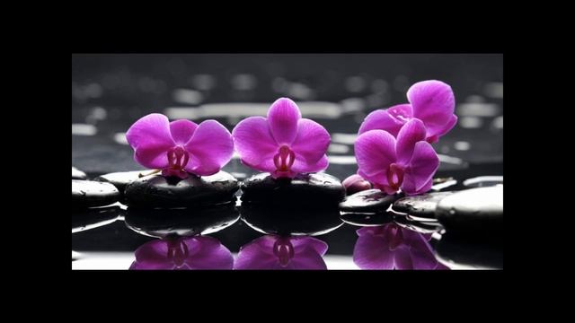 Roberta -  Peppino Di Capri(com Legenda)