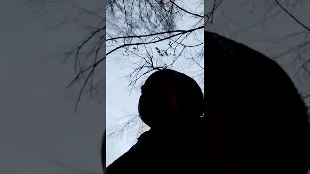 Увидел номер 666 на машине🙀🙀🙀🙀🙀🙀🙀 смотреть онлайн