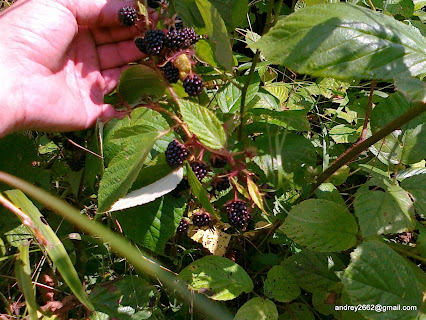 20_01_2011г_ОКРЕСТНОСТИ с.ОКУМ и ДОРОГА в ТКУАРЧАЛ.mp4 смотреть онлайн