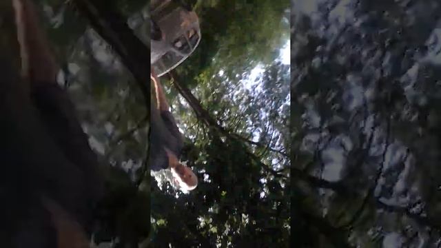 Помыл бомжа воздушным шариком смотреть всем) смотреть онлайн