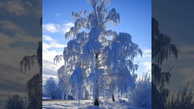 Подари мне, зима, подари... смотреть онлайн