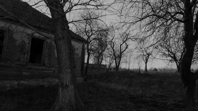 ВЫ НЕДООЦЕНИВАЕТЕ НАСЕКОМЫХ! Мимикрия - Дональд Уолхейм смотреть онлайн