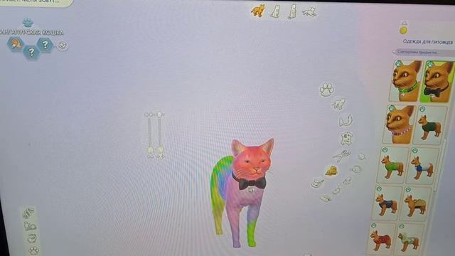 Чудо Генатики Кошки И Люди смотреть онлайн