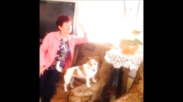 Не считай морщинки понапрасну... #песни #любовь #бабушка