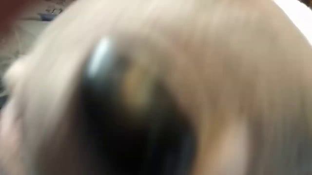 Как незаметно пёрнуть! смотреть онлайн