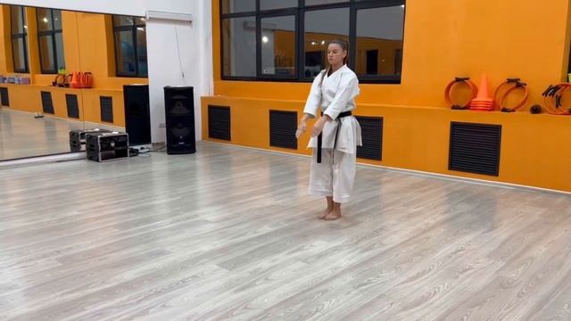 Ката Теки-шодан (ката на аттестацию по Фудокан на 3 кю) смотреть онлайн