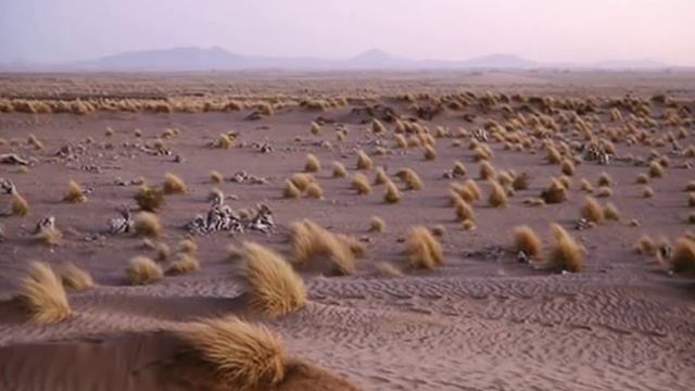 Badema - Urga (Mysterious faces of desert) смотреть онлайн