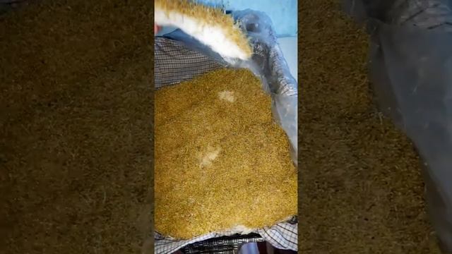 Пророщенный амарант смотреть онлайн