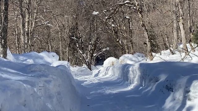 Горнолыжный курорт ДОМБАЙ / Тебердинский заповедник / Сентинский и Шоанинский ХРАМЫ/ Ущелье АЛИБЕК смотреть онлайн