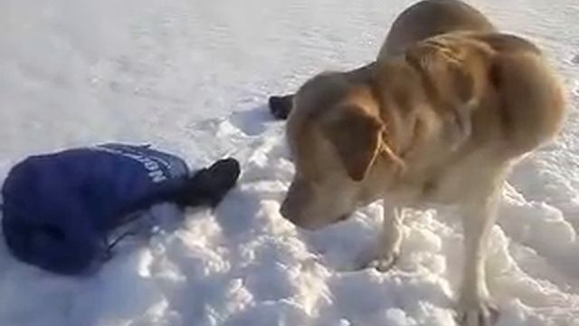 Ловля налима на Оке зимой смотреть онлайн