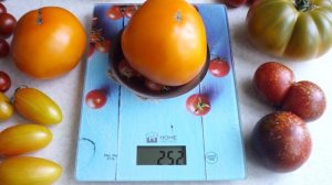 Томат Апельсин