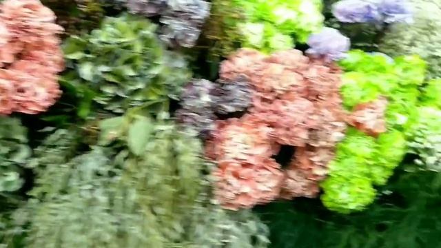 Международная выставка цветов 2018 в Крокус Экспо смотреть онлайн