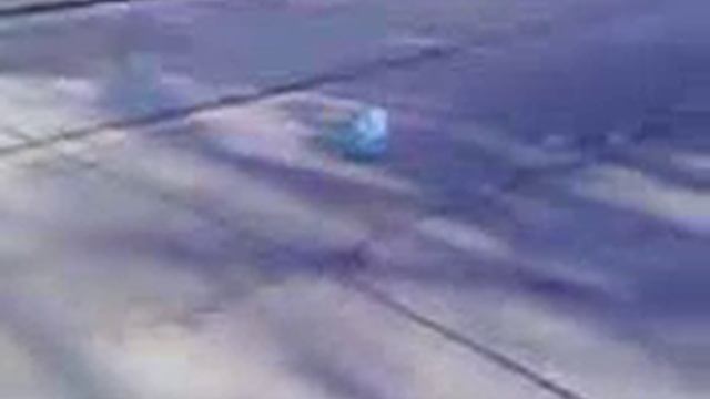 the little beach ball that could. смотреть онлайн