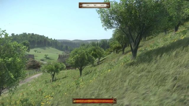 Kingdom Come: Deliverance обзор 2
