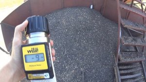 Сравнение гибридов подсолнечника под ЭКСПРЕСС.  Лимагрейн 59580. Сингента Суматра. Сингента Сузука.