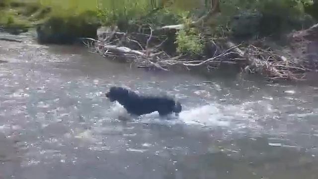Полад на Алтае. Уожан. приятное с полезным смотреть онлайн