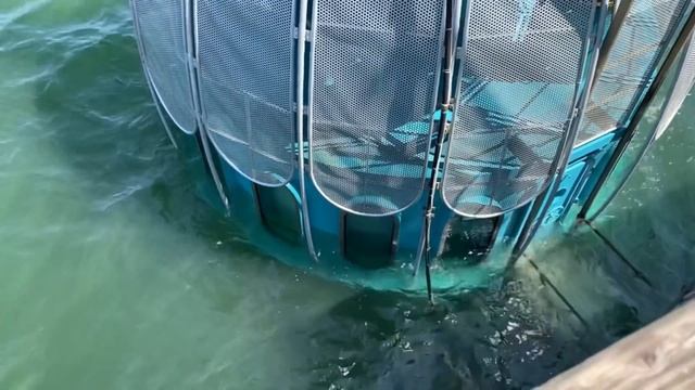 КУДА ПОЕХАТЬ НА МОРЕ В ГЕРМАНИИ ? ПЕСЧАНЫЙ ПЛЯЖ,КРАСИВЫЙ ГОРОД ЗЕЛЛИН. смотреть онлайн