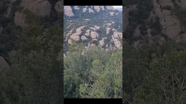 Символ чего? смотреть онлайн