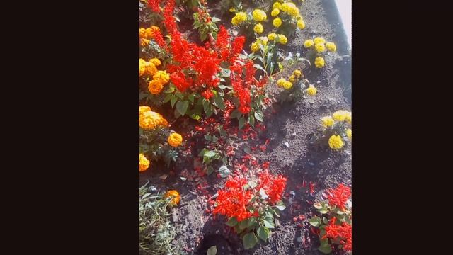 С необыкновенным днем.несущим новое,отметающим негативное!Бери себя в руки!Улыбнись новому дню!