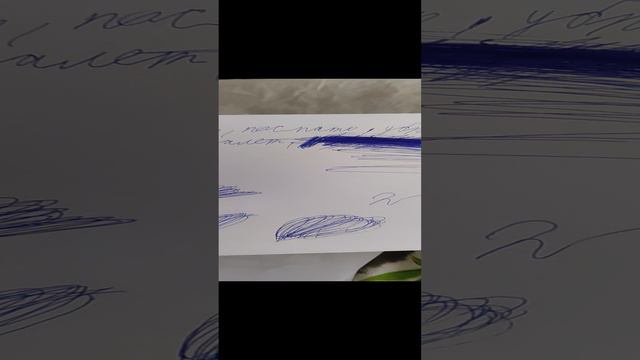1000032541.mp4 смотреть онлайн